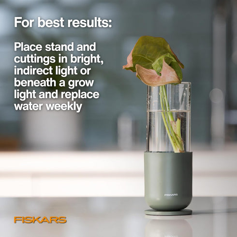 5 oz, Fiskars Plant Propagator, Single Glass Vase with Metal Stand for Rooting Cuttings, Hydroponic System for Indoor