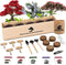 Indoor Bonsai Garden Starter Kit, 5 Seeds Growing into Red Maple, Wisteria,
