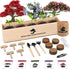 Indoor Bonsai Garden Starter Kit, 5 Seeds Growing into Red Maple, Wisteria,