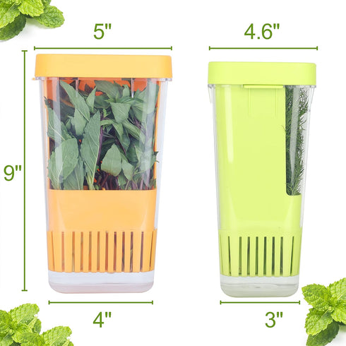 3 Pack Fresh Herb Keeper for Refrigerator, Clear BPA-Free Herb Saver, Storage Container for Cilantro, Parsley, Thyme