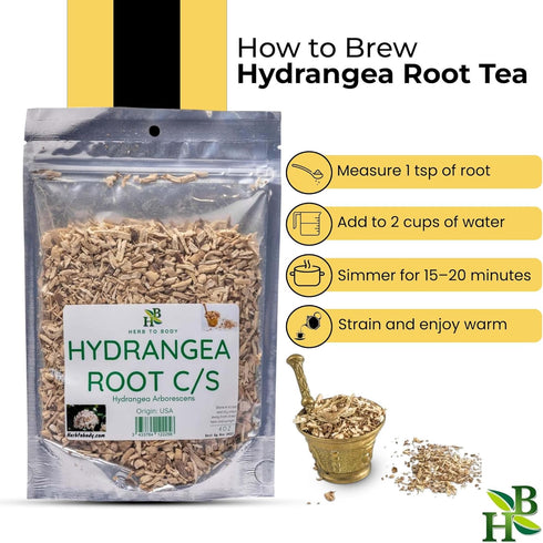 4 oz, Herb To Body Hydrangea Root Cut & Sifted - Wildcrafted Dried Hydrangeas for Herbal Tea, Hydrangea Root Tea