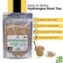 4 oz, Herb To Body Hydrangea Root Cut & Sifted - Wildcrafted Dried Hydrangeas for Herbal Tea, Hydrangea Root Tea