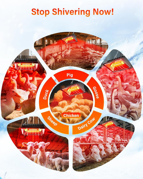 175W 250W 3M Chicken Coop Heater, ZIVASA & Dual-Mode Heat Lamp for Chickens with Cord, Adjustable Hanging Height