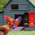 WHXE MNHEE Feeder,2 Pack 5-6 Automatic Chicken Grit Metal Hanging Chicken and Poultry Feeder,No-Waste Design,Easy