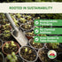 2 500+ TKE Farms & Gardens - Lacinato Kale Seeds for Planting, Grams, Heirloom Non-GMO Seeds - Dinosaur Kale, Tuscan