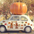 25 Pcs Thanksgiving Refrigerator Magnets, Fall Gnomes Pumpkin Maple Decoration for Home Decor (Pumpkin)
