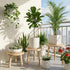 SEQUEDA 3-Pack 6-12 Inch Wood Plant Stands Indoor, Single Plant Stand for Pots, Mid-Century Modern Plant Stool, Tall