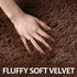 Hutha 6x9 Large Area Rugs for Living Room, Super Soft Fluffy Modern Bedroom Rug, Brown Coffee Indoor Shag Fuzzy Carpets