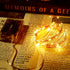1 Pack 16.4ft 50 Ariceleo Battery Operated String Lights with Timer, Warm White with Synchronized Twinkle Mode, Fairy