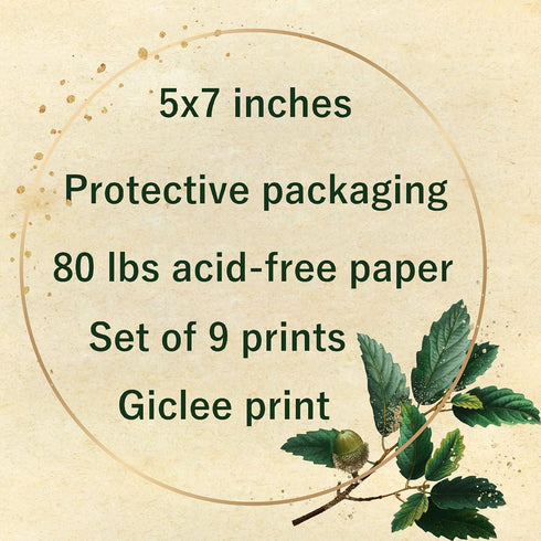 Ink Inc. Botanical Prints Wall Art, Medicinal Plants and Herbs, Set of 9, 5x7 Inches, Unframed