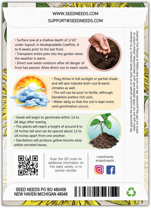 (1 Pack) Seed Needs Dandelion Seeds for Planting Taraxacum officinale - Non-GMO Heirloom & Untreated Perennial Herbs
