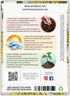(1 Pack) Seed Needs Dandelion Seeds for Planting Taraxacum officinale - Non-GMO Heirloom & Untreated Perennial Herbs