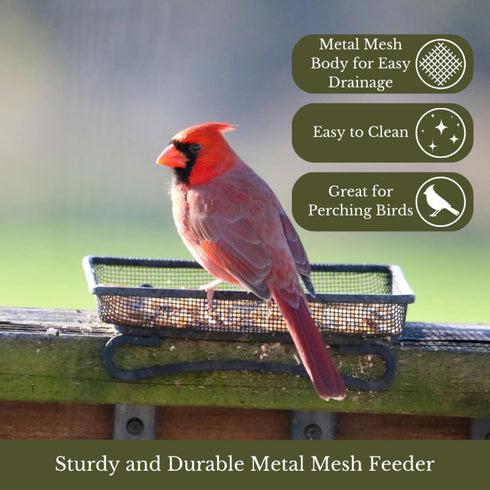 Wildlife and Bird Feeder, Deck and Ground Tray Feeder for Birds, Squirrels, Chipmunks, and Rabbits