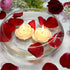 Zest Candle 12-Piece Floating Candles, 3-Inch, Ivory Rose