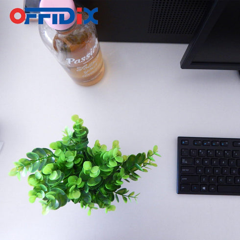 OFFIDIX Mini Eucalyptus Plants with Vase for Office Desk, Fake Plant with Plastic Pots for Home and Shower Room