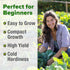 600+ HOME GROWN Vates Collard Green Seeds Heirloom Non-GMO Seeds for Planting, High Germination, Bolt Resistant Dark