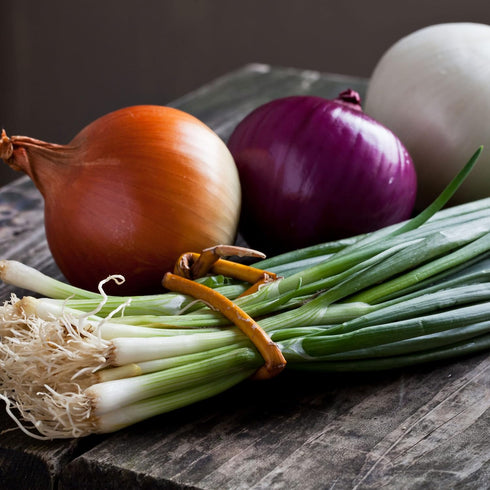 Sets 50-60 Bulbs, 8oz, Yellow Onion for Planting - Non-GMO Stuttgarter USA Grown - Stargazer Perennials