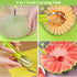 14 Pack Melon Baller Scoop Set, 4 in 1 Stainless Steel Fruit Tool Set for Fruit Slicer, Vegetable Cutter