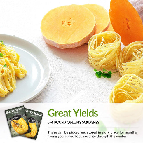 3 Packets Survival Garden Seeds - Spaghetti Squash Seed for Planting - with Instructions to Plant and Grow Low Carb