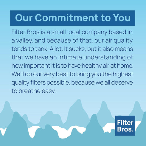 Filter Bros LV-H132-RF High Efficiency Activated Carbon Replacement Filter for LEVOIT H132
