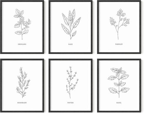 HAUS AND HUES Kitchen Herbs Wall Art Decor | Herb Prints and Kitchen Signs for Wall Decor (8"X10" Unframed)