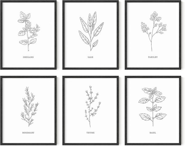 HAUS AND HUES Kitchen Herbs Wall Art Decor | Herb Prints and Kitchen Signs for Wall Decor (8"X10" Unframed)
