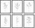HAUS AND HUES Kitchen Herbs Wall Art Decor | Herb Prints and Kitchen Signs for Wall Decor (8"X10" Unframed)