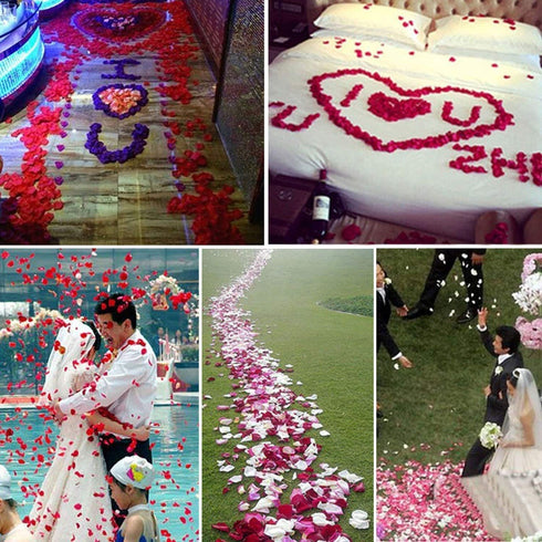 1000 Pcs Artificial Silk Rose Petals, Light Blue Decoration for Wedding Party