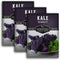 Scarlet Kale Seeds for Planting Heirloom Purple Kale Cold Hardy for Fall