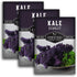 Scarlet Kale Seeds for Planting Heirloom Purple Kale Cold Hardy for Fall