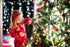 Scentsicles O Christmas Tree Scented Ornaments with Hooks, 3 Bottles (18 Sticks Total)