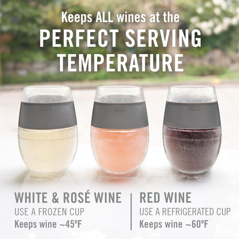 Host Wine Freeze Cup Set of 2, Plastic Double Wall Insulated Wine Glasses with Freezing Gel, 8.5 oz Mint