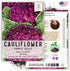 (5 Packs) Seed Needs Cauliflower Seeds for Planting Purple of Sicily Cauliflowers - Non-GMO Heirloom & Untreated