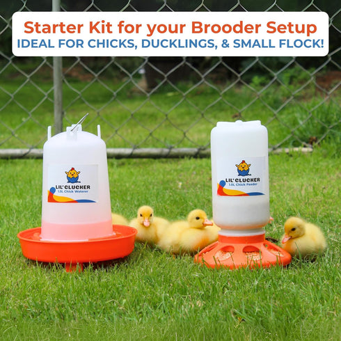 1L 1.5L Set, Lil'Clucker Chick Feeder, Chicken Waterer - No Leakage Chick Feeder and Waterer Kit, Hanging Baby Chick