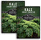 Dwarf Siberian Kale Seeds for Planting Heirloom Baby Kale Cold Hardy, Heat