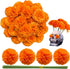 Marigold Flower Heads 50Pcs, Mexican Artificial Flowers for Day of The Dead Diwali Home DIY Garland Craft Decoration