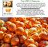 750+ Bulbs, Yellow Sweet Spanish Onion Seeds (Allium cepa) Non-GMO Heirloom Seeds by Islas Garden Seeds, Mild & Sweet