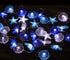 17.5 36 WSgift Coastal String Lights, Ft Cold White LED Beach Decorative String Lights Seashell Seahorse Starfish Sand