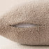 Foindtower Pack of 2 Curly Faux Fur Decorative Throw Pillow Covers, Soft Plush Cushion Case for Home Living Room