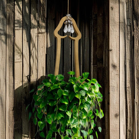 Generic Funny Flower Pots Plant Hanger, Mr. Morningwood, Versatile Plant Hanger & Pot, Wood Penis Planter, Unique Plant