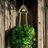 Generic Funny Flower Pots Plant Hanger, Mr. Morningwood, Versatile Plant Hanger & Pot, Wood Penis Planter, Unique Plant