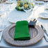 ANECO 12 Pieces Satin Napkins, Soft Square Dinner Napkins 17 x 17 Inches for Weddings, Parties, Decorations (Forest