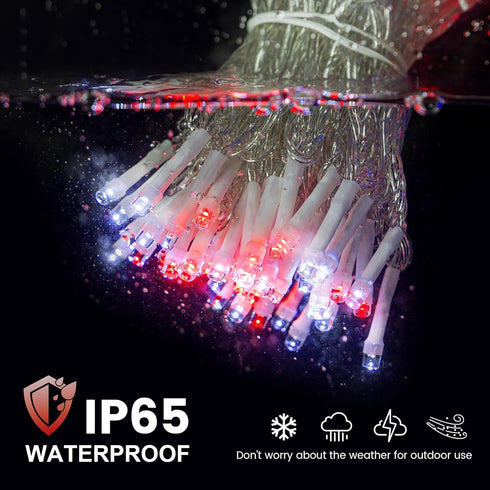 33FT 100 Wedding,100 Hopolon Led String Lights Indoor Outdoor,Red and White Christmas Lights Clear Wire,Connectable