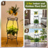 Dunkive 2 27" Plant Stand indoor Outdoor Tier with Grow Light, Tall Metal Potted Holder Rack Flower Stand Rustproof