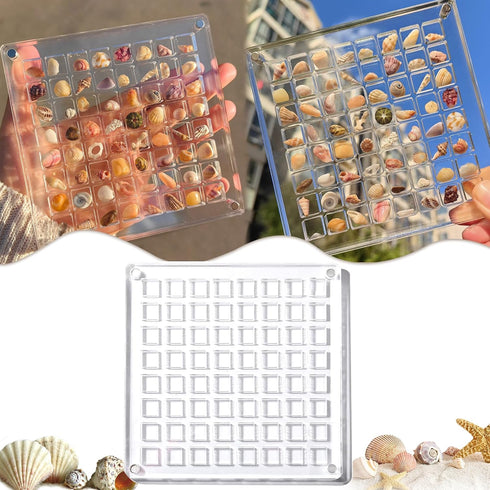 Acrylic Magnetic Seashell Display Box, Decorative Storage Case for Seashells, Trinkets, and Small Craft Organizers