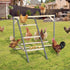 PETSFIT Chicken Perch for Coop-Solid Wood and Rustproof Iron Roosting Bar with Swing - Ideal for Backyard Poultry