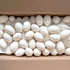 3.5 Inches BestPysanky Blown Out Hollow Real Goose Eggshell, Empty Cleaned-Out Egg for Easter Egg Decorating, DIY