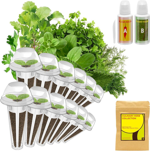 inbloom Culinary Herbs Seed Pod Kit for Hydroponics Growing System, 12 Pods