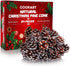 Cooraby 24 Pieces Christmas Pine Cones Ornament, Natural with String for Tree Decoration (Snow)