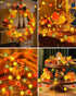 16.4FT 50 3D btfarm Fall Decor LED Pumpkin Maple Leaf Acorn Fairy String Lights Battery Operated with Remote Timer